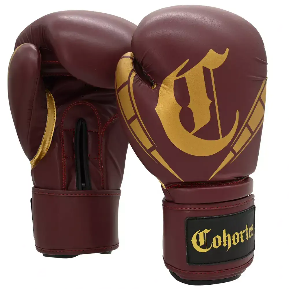 Bokso-pirštinės-cohortes