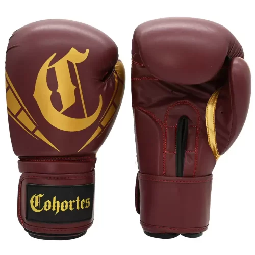 Bokso-pirštinės-cohortes Bokso-pirštinės-cohortes