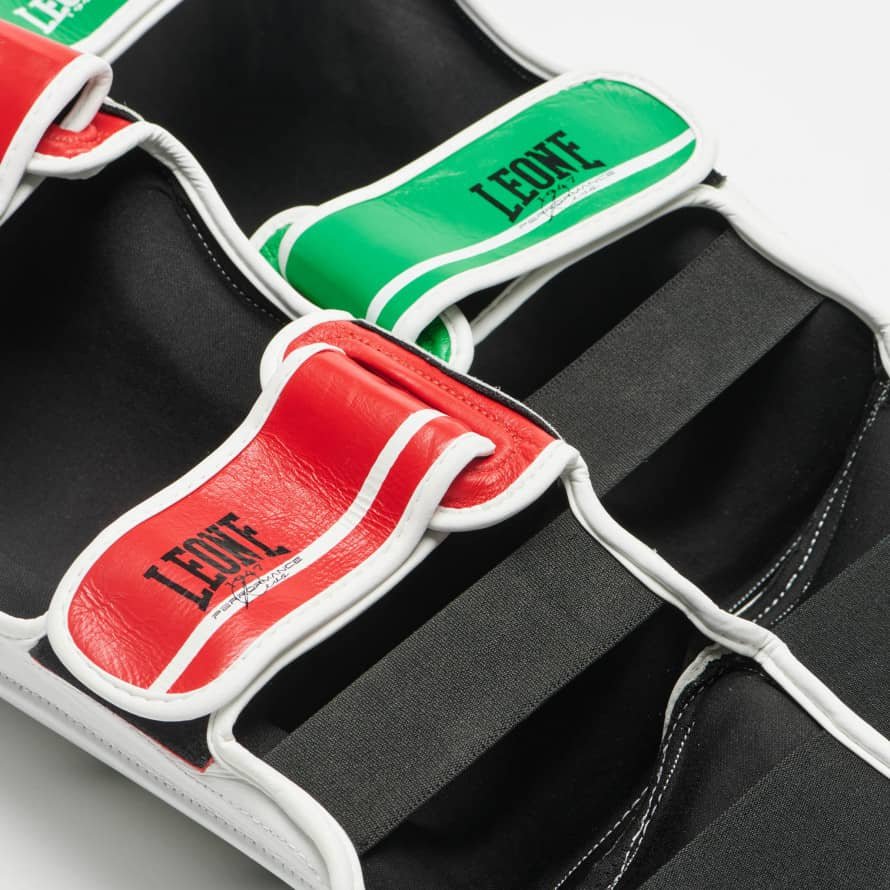 Kojų-apsaugos-Leone