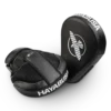 Bokso-letenos-Hayabusa-PTS3 Bokso-letenos-Hayabusa-PTS3