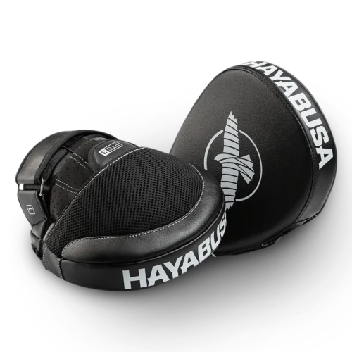 Bokso-letenos-Hayabusa-Micro-PTS3