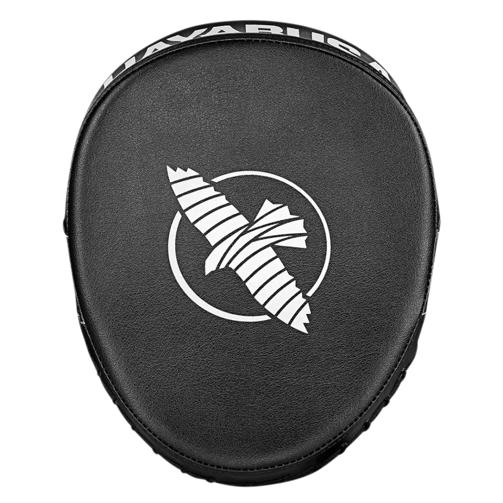 Bokso-letenos-Hayabusa-Micro-PTS3